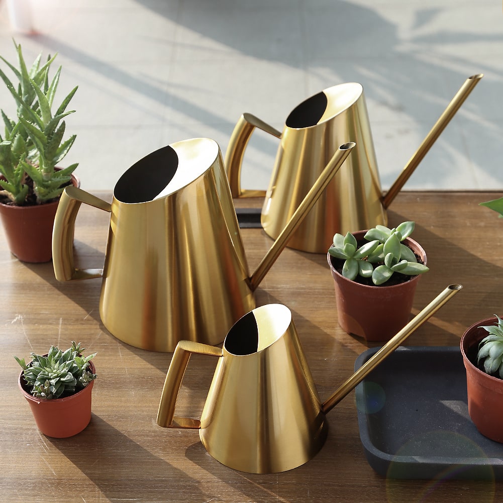 Modern Style Watering Can Angled - Florafauna