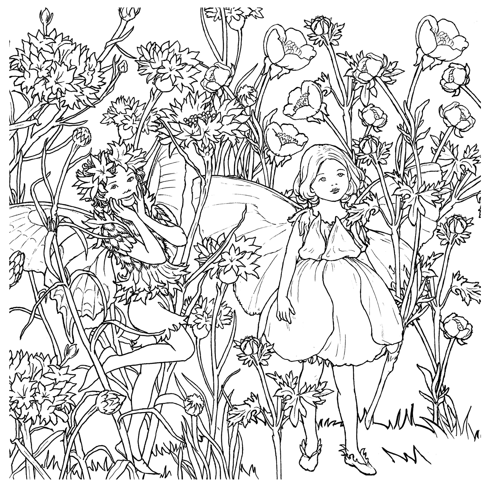 The Flower Fairies Colouring Book - Florafauna