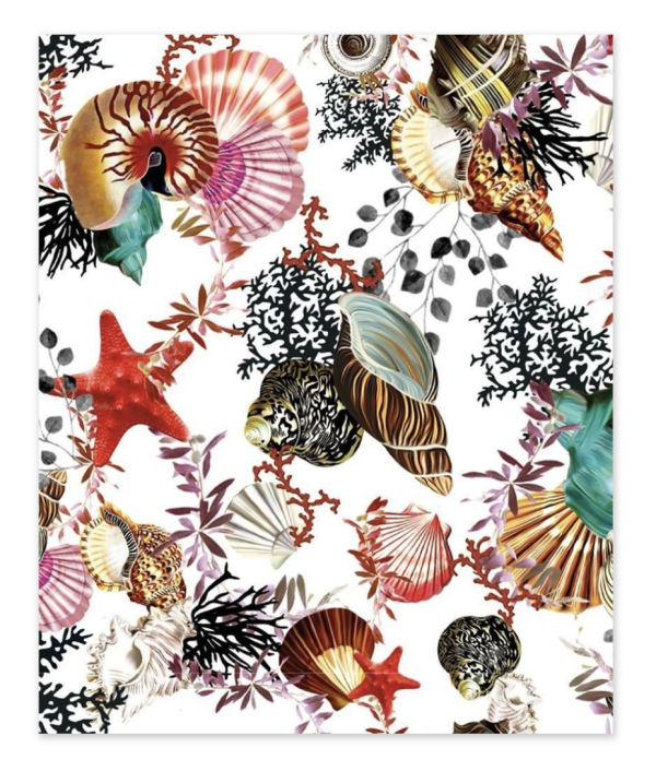 Greeting Card - Mary Katrantzou Seashells